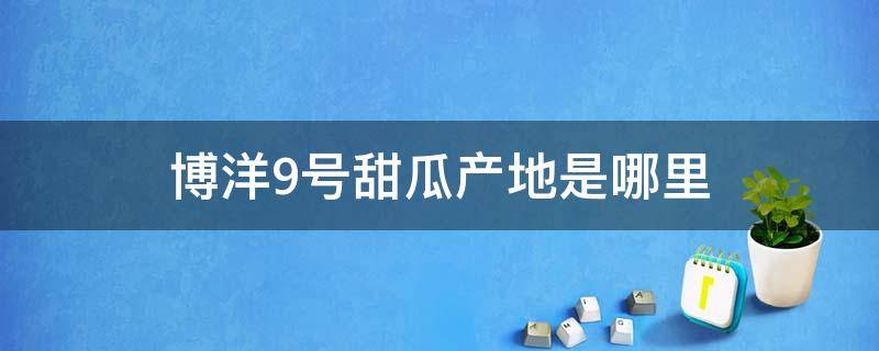 博洋9号甜瓜产地是哪里 博洋9号甜瓜的产地