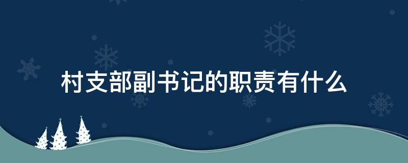 村支部副书记的职责有什么（村支部副书记主要职责）