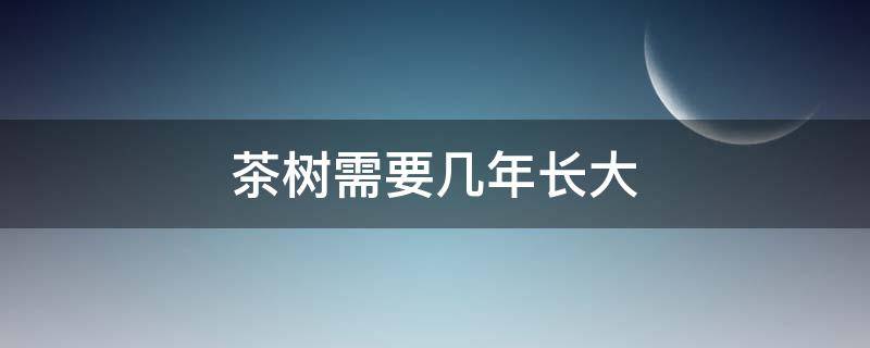 茶树需要几年长大 茶树能生长多少年