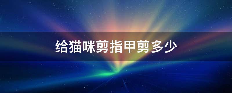 给猫咪剪指甲剪多少 给猫咪剪指甲应该剪多少