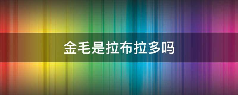 金毛是拉布拉多吗 金毛就是拉布拉多