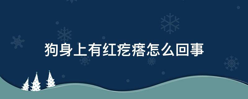 狗身上有红疙瘩怎么回事 狗身上起红疙瘩咋回事