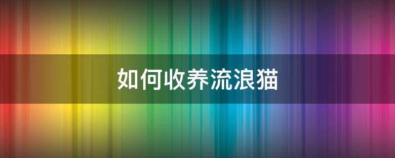 如何收养流浪猫（如何收养流浪猫信任）