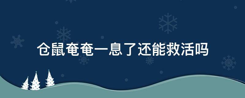 仓鼠奄奄一息了还能救活吗（仓鼠寿命到了奄奄一息怎么办）