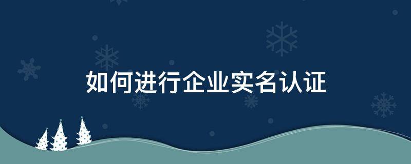 如何进行企业实名认证 企业网上实名认证怎么做