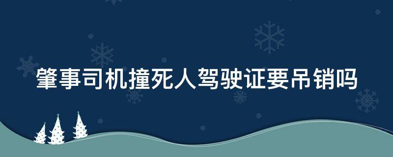 肇事司机撞死人驾驶证要吊销吗（肇事司机把人撞死需要拘留吗）