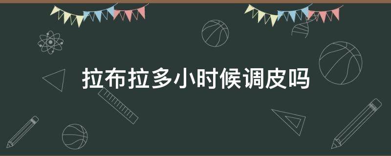 拉布拉多小时候调皮吗（拉布拉多小时候很皮）