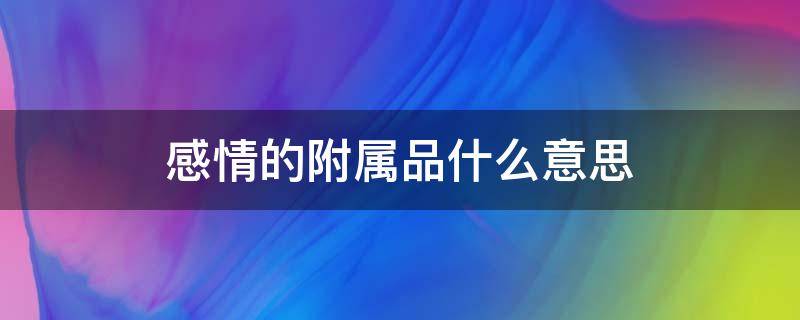 感情的附属品什么意思 感情是附属品