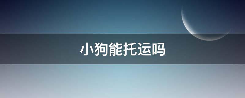 小狗能托运吗 狗可以托运吗?