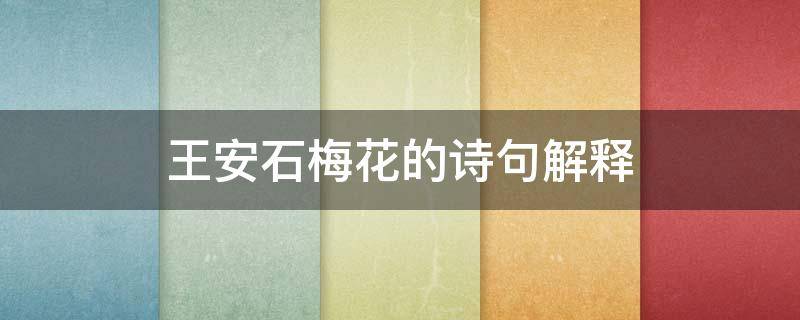 王安石梅花的诗句解释 王安石的梅花古诗意思