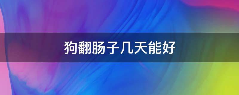 狗翻肠子几天能好（狗狗翻肠子熬几天能活狗狗翻肠子怎么保养）