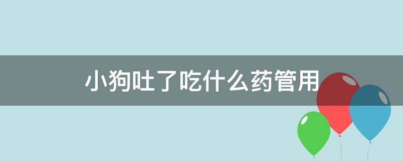 小狗吐了吃什么药管用（狗狗吐了喂什么药）