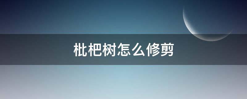 枇杷树怎么修剪（枇杷树怎么修剪什么时候修剪）