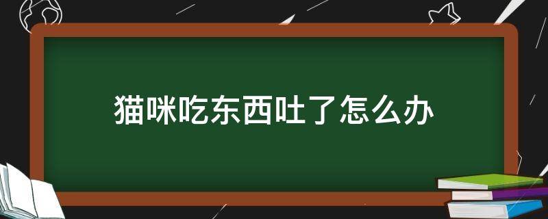 猫咪吃东西吐了怎么办（猫咪呕吐不吃东西怎么办）