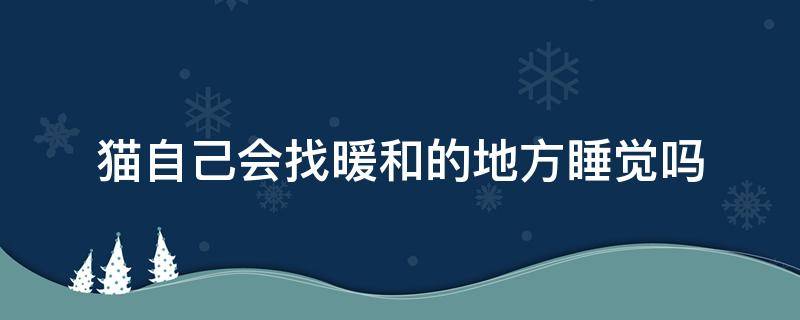 猫自己会找暖和的地方睡觉吗 猫咪冷了会自己找暖和的地方睡吗