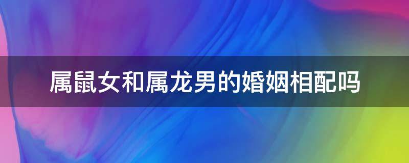 属鼠女和属龙男的婚姻相配吗 属鼠女和属龙男的相配吗,婚姻状况怎么样