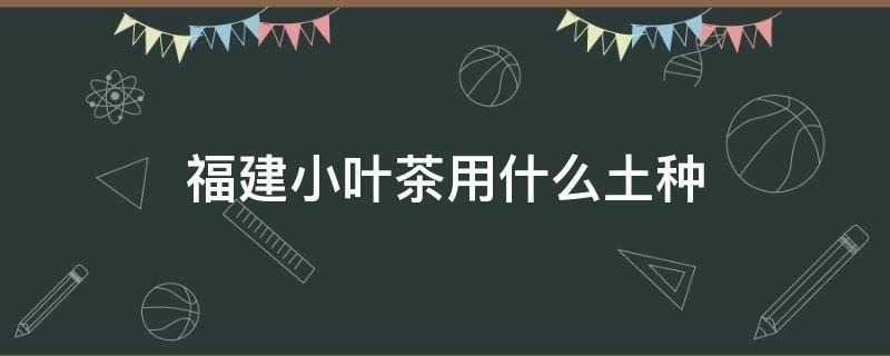 福建小叶茶用什么土种 福建茶盆栽用什么土