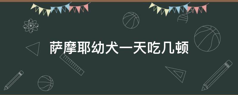 萨摩耶幼犬一天吃几顿 萨摩耶一天吃几次狗粮