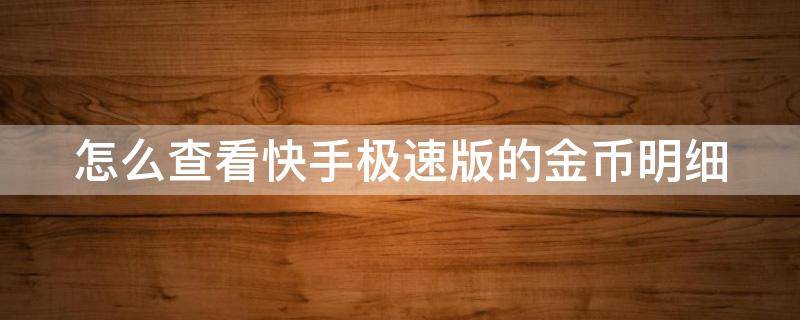 怎么查看快手极速版的金币明细（怎么查看快手极速版的金币明细表）