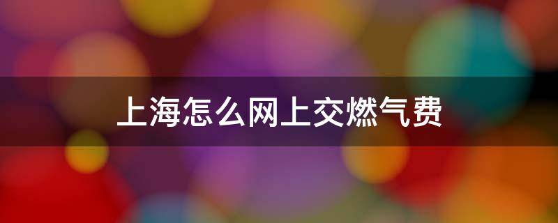 上海怎么网上交燃气费 上海燃气怎么网上缴费