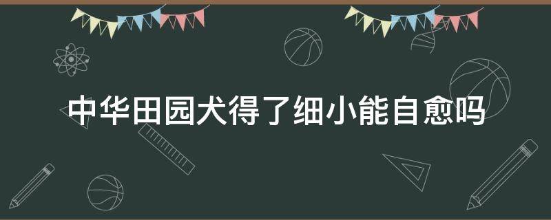 中华田园犬得了细小能自愈吗（中华田园犬得了细小怎么办）