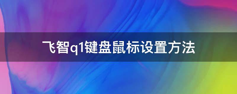 飞智q1键盘鼠标设置方法（飞智q1鼠标键盘设置教程视频）