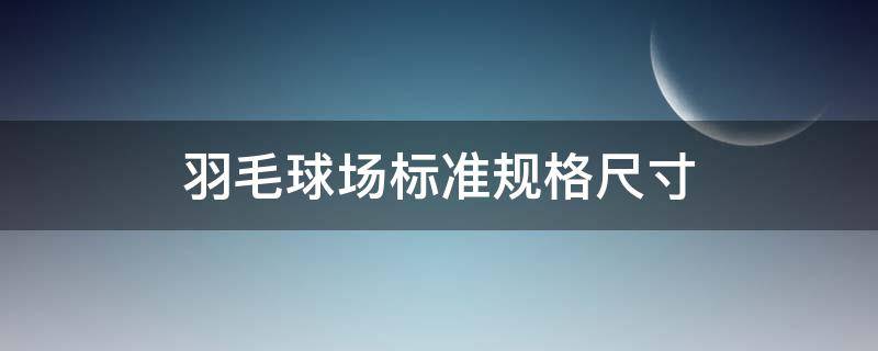 羽毛球场标准规格尺寸 羽毛球场地标准尺寸图