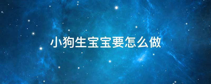 小狗生宝宝要怎么做 小狗生宝宝要怎么做不官怎么办