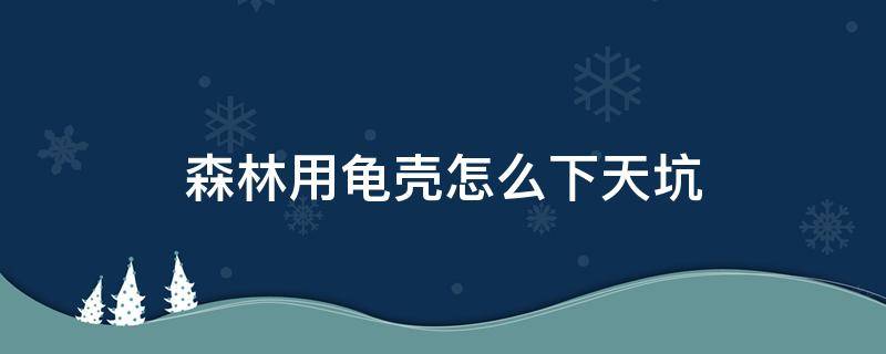 森林用龟壳怎么下天坑（森林下天坑用龟壳从哪滑下去）