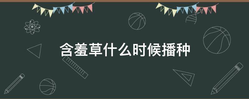 含羞草什么时候播种 含羞草什么时候播种什么时候开花