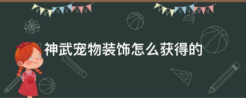 神武宠物装饰怎么获得的 神武宠物装备怎么弄的