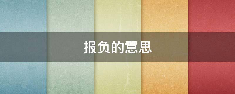 报负的意思 抱负的意思是什么(最佳答案