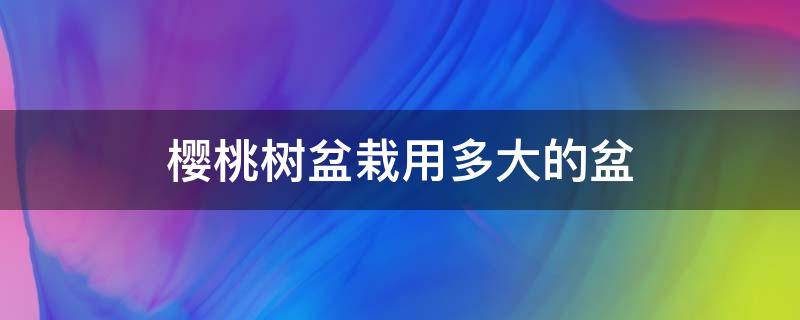 樱桃树盆栽用多大的盆 种樱桃要多大的盆