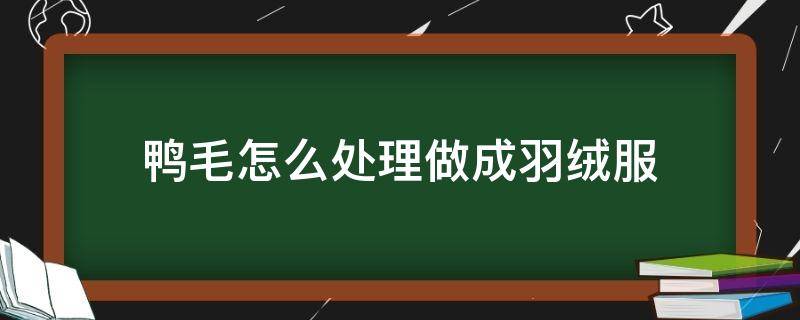 鸭毛怎么处理做成羽绒服 鸭毛怎么处理做成羽绒被