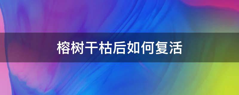 榕树干枯后如何复活（榕树盆景干枯后如何复活）