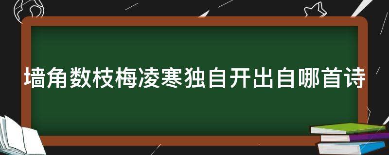 墙角数枝梅凌寒独自开出自哪首诗