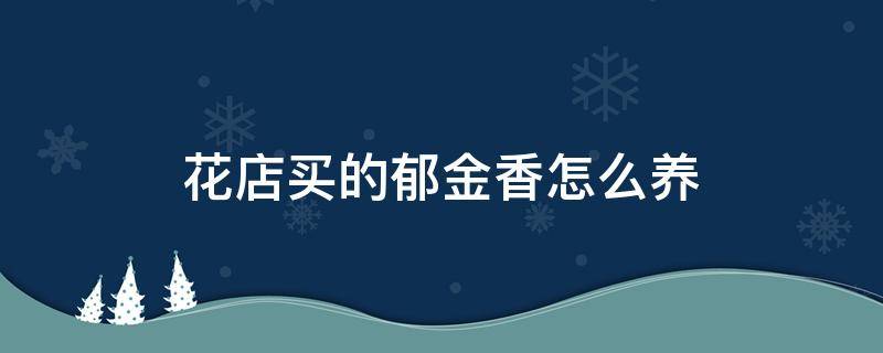 花店买的郁金香怎么养 花市买的郁金香怎么养