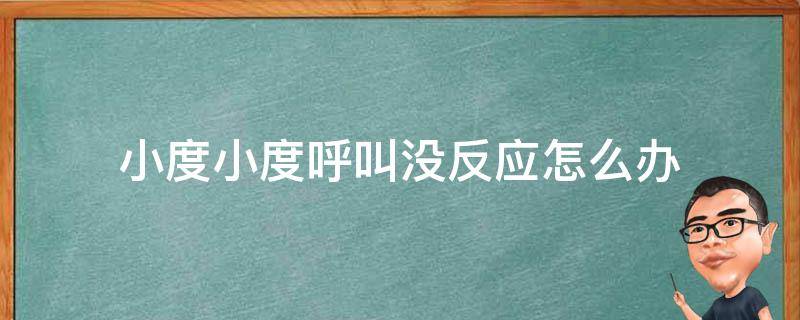 小度小度呼叫没反应怎么办（呼叫小度为什么没有反应）