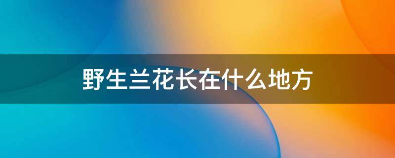 野生兰花长在什么地方 野生兰花一般长在什么地方