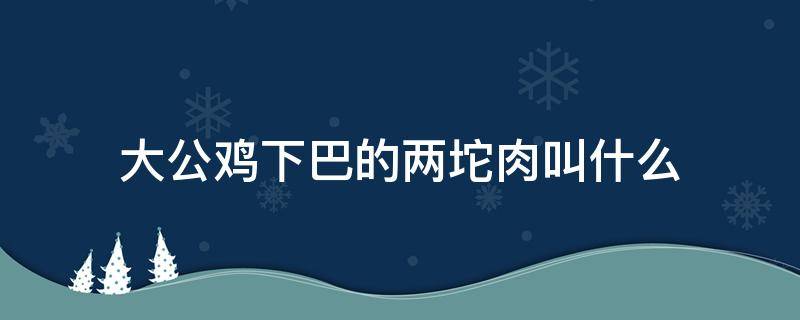 大公鸡下巴的两坨肉叫什么（公鸡下巴红肉是什么）