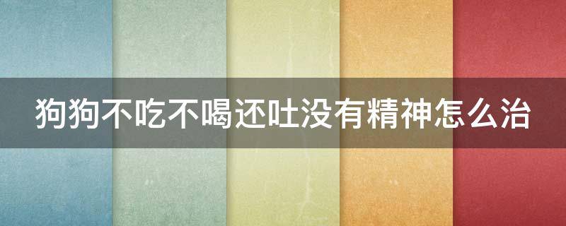 狗狗不吃不喝还吐没有精神怎么治（狗狗不吃不喝还吐没有精神怎么治得过细小以后还会得吗）