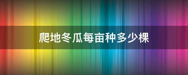 爬地冬瓜每亩种多少棵（爬地冬瓜一亩种多少棵）