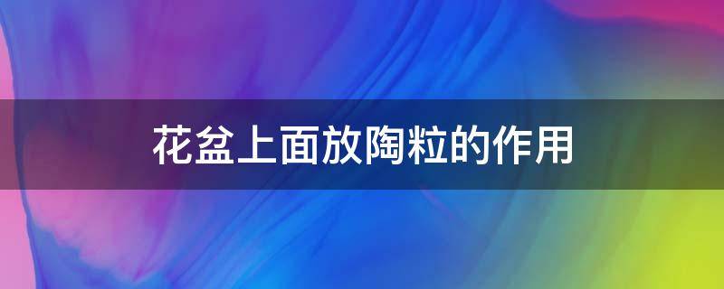 花盆上面放陶粒的作用（花盆里面放的陶粒的使用方法）