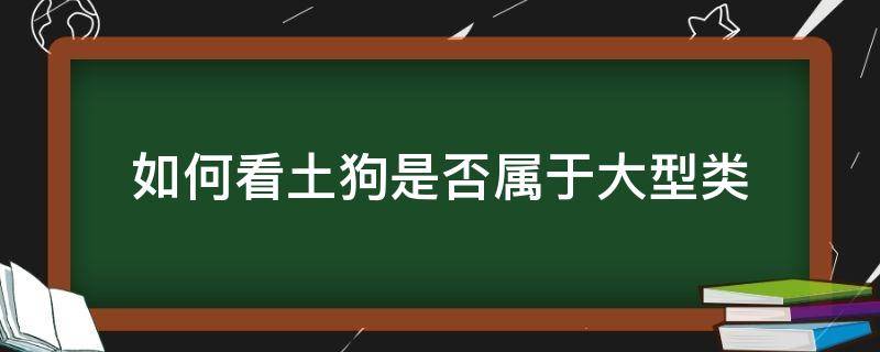 如何看土狗是否属于大型类（如何判断土狗是大型犬还是小型犬）