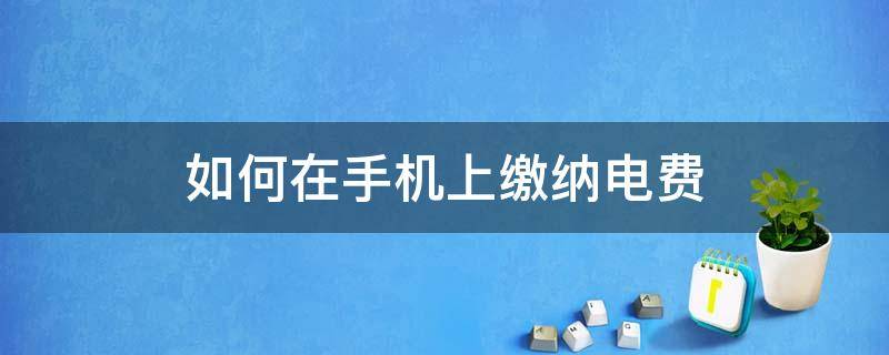 如何在手机上缴纳电费 手机上怎么缴纳电费