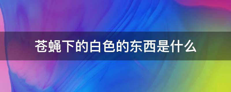 苍蝇下的白色的东西是什么 苍蝇拉出来白色的是什么