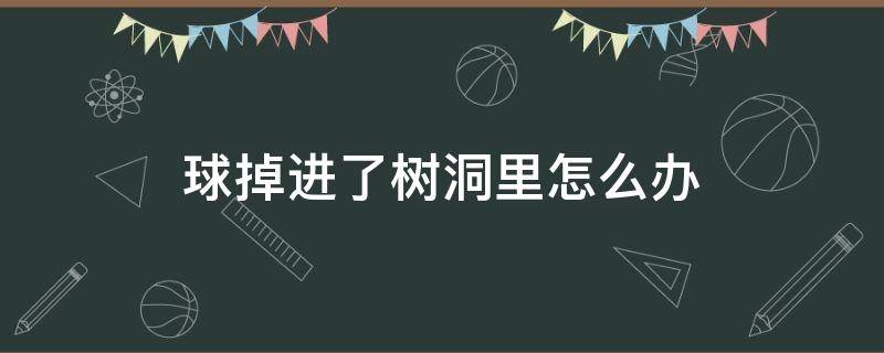 球掉进了树洞里怎么办（球掉进了树洞里有什么办法）