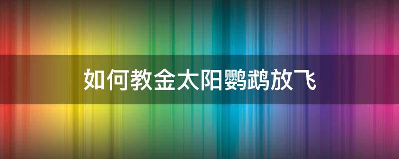 如何教金太阳鹦鹉放飞 金太阳鹦鹉能放飞吗