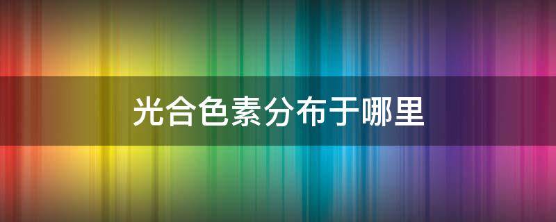 光合色素分布于哪里 光合作用色素分布图