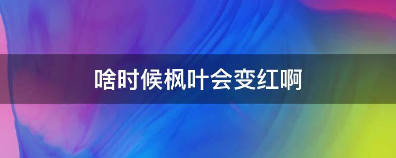 啥时候枫叶会变红啊 枫叶在几月份变红